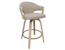 Jaxx 26" Counter Stool with Swivel, Set of 2