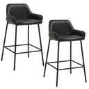 Haus Counter Stool, Set of 2