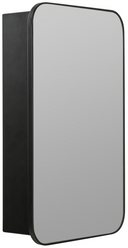 Medicine Cabinet Mirror