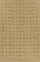 Raised Dot Tonal Area Rug
