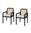 Ratten Dining Chair Set of 2