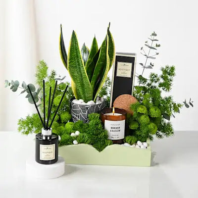 Seasonal Gifting Programs